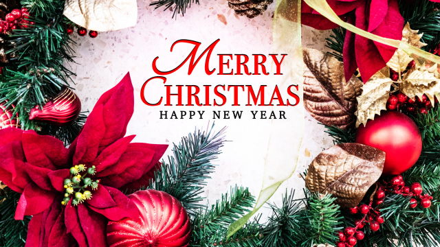 Merry Christmas 2024 Wishes, Quotes, Greetings, Whatsapp Messages & Status